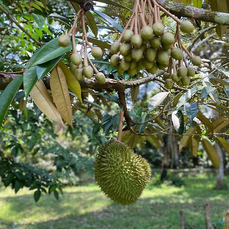 Kebun Puisi Villa Kajang Eksteriør billede